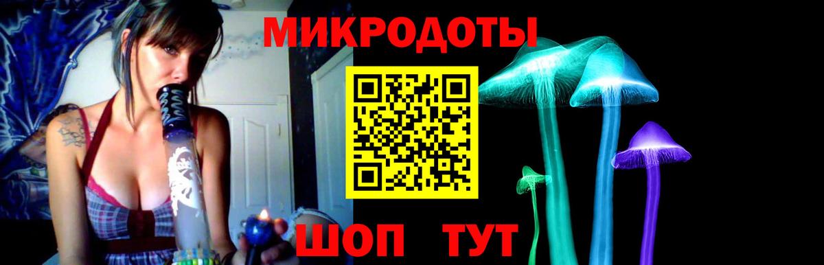 Галлюциногенные грибы прущие грибы  Вход с VPN  как найти   Нерюнгри 